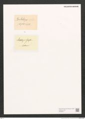 Berkeleya sp. (de-Toni-Nr.: Genus 21) Zeichnungen Sammlung Grunow (NHMW-BOT-W0369511)